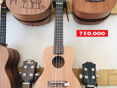 Đàn Ukulele size 23" - 14 - 750.000 